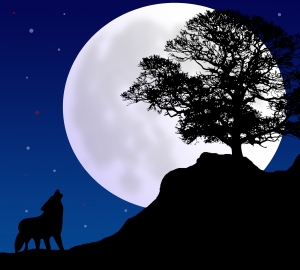 The Wolf Moon