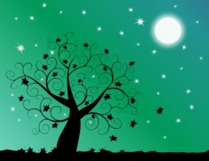 The fickle Flower Moon of May, with all her starry suitors