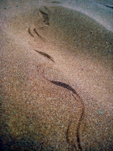 Happy trails to me...