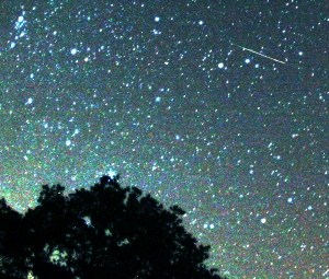 A Perseid... quick, make a wish!